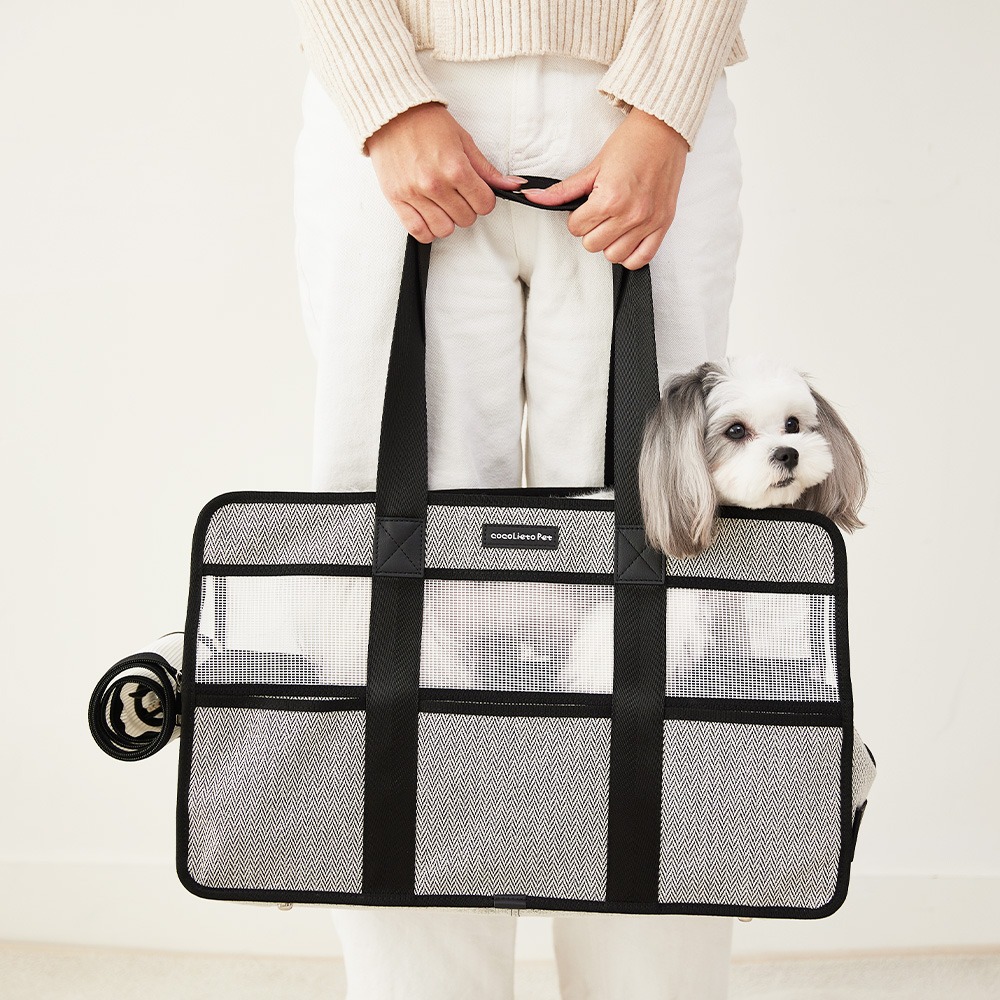 코코리에또펫 모던 펫백 강아지 이동가방 캐리어 기내용 이동장 크로스백 토트백 슬링백